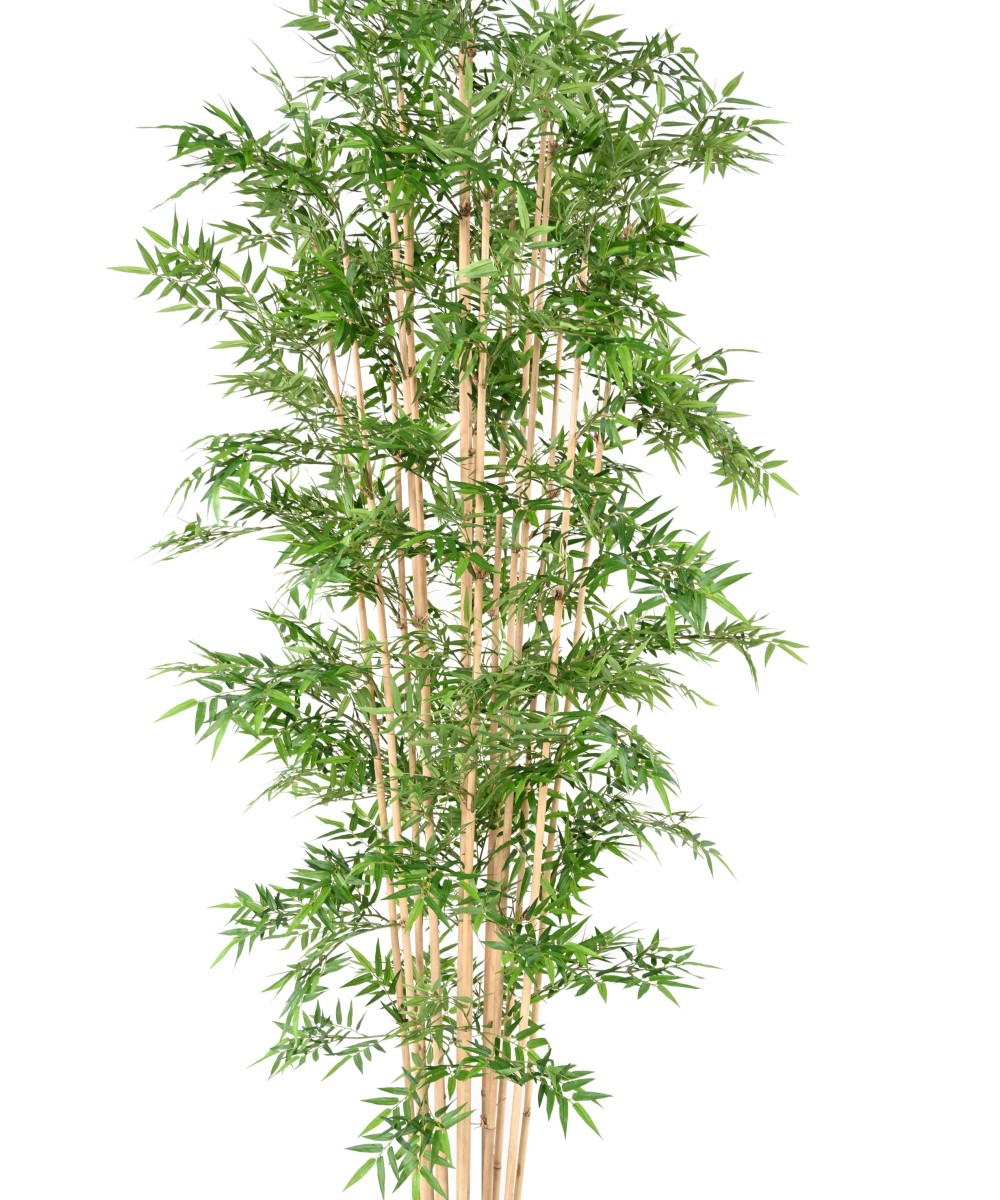 Artificial Oriental bamboo