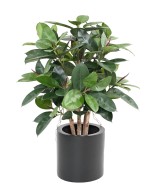 Artificial FICUS ELASTICA BUSH (Rubber plant multitree)