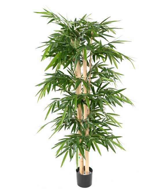 Artificial bamboo NEW LARGE CANES