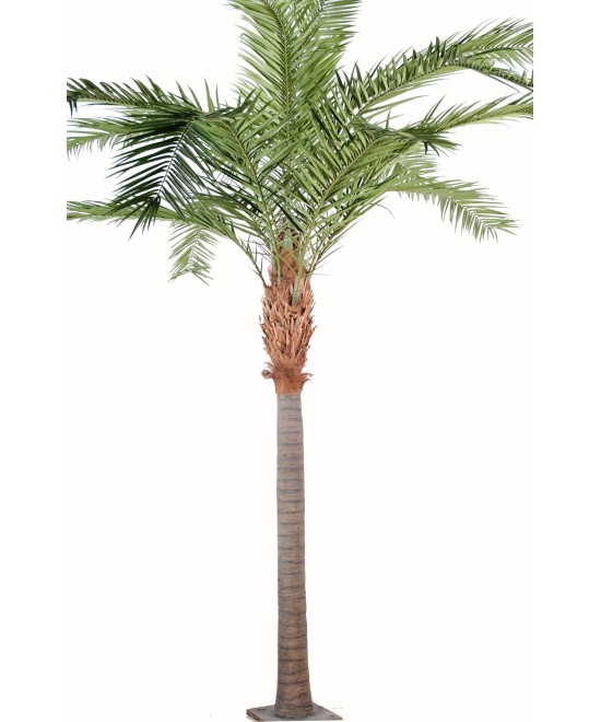 Kunst-datlipalm Kanaari saarte datlipalm