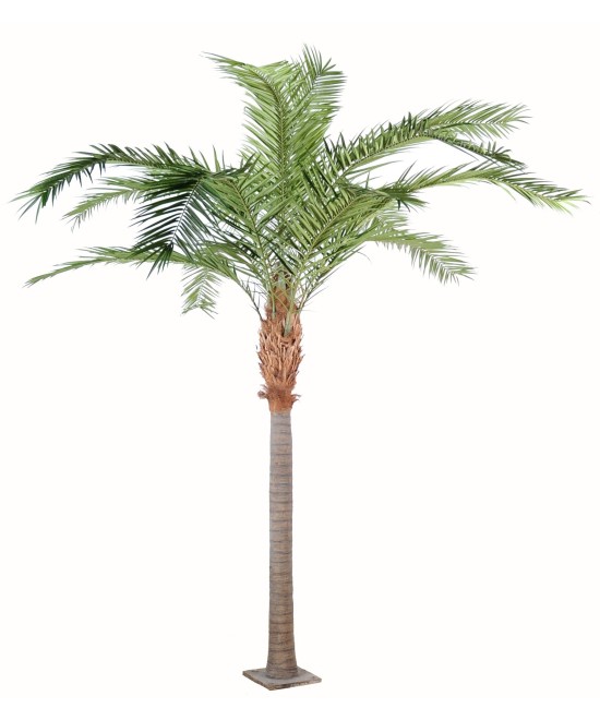 Kunst-datlipalm Kanaari saarte datlipalm