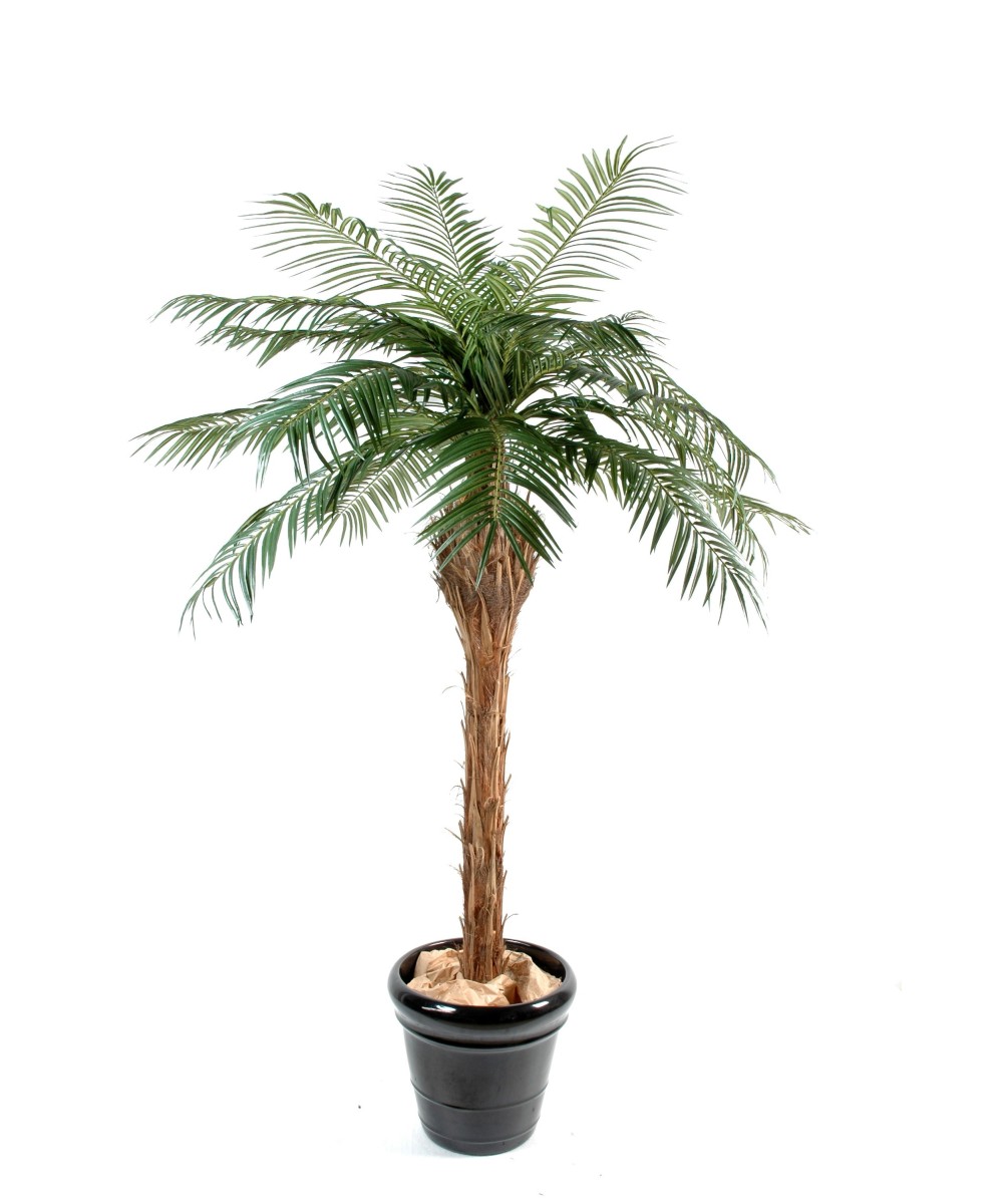 Kunst-datlipalm