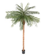 Kunst-datlipalm