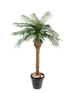 Kunst-datlipalm