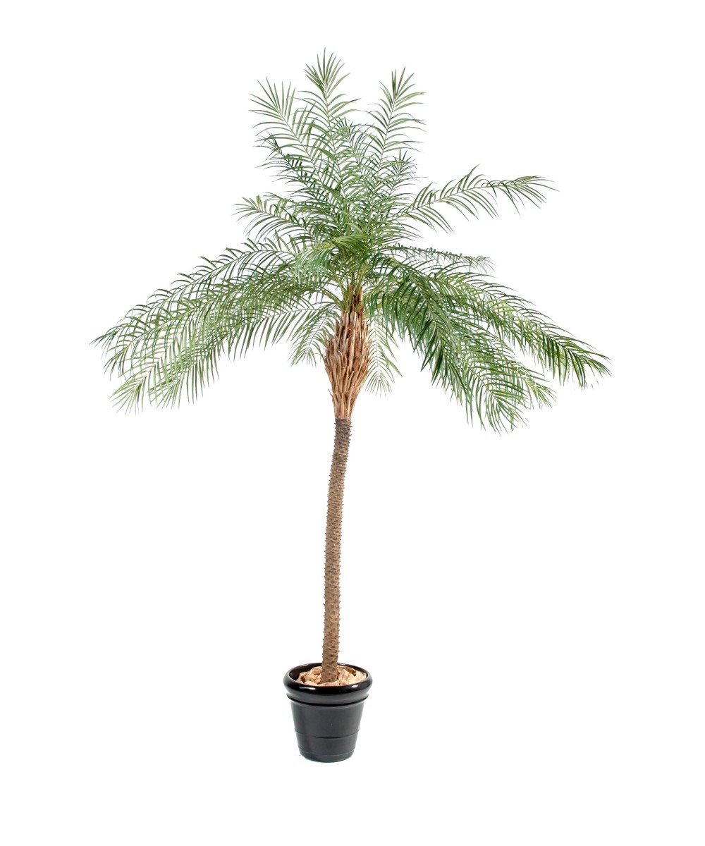 Kunst-datlipalm UUS