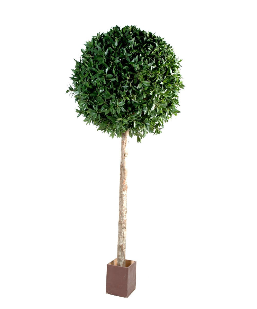 Artificial Laurel BALL STEM