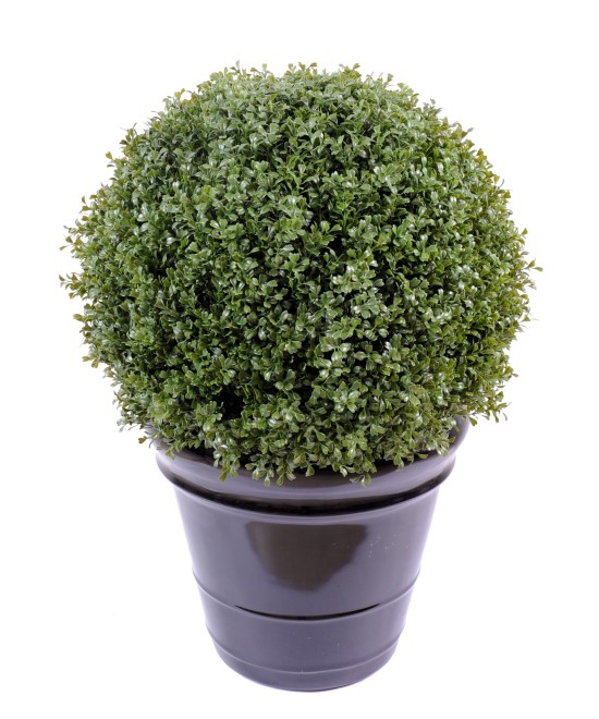 Artificial boxwood BALL REGULAR NEW