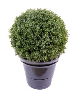 Artificial boxwood BALL REGULAR NEW