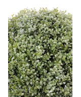 Artificial boxwood BALL REGULAR NEW
