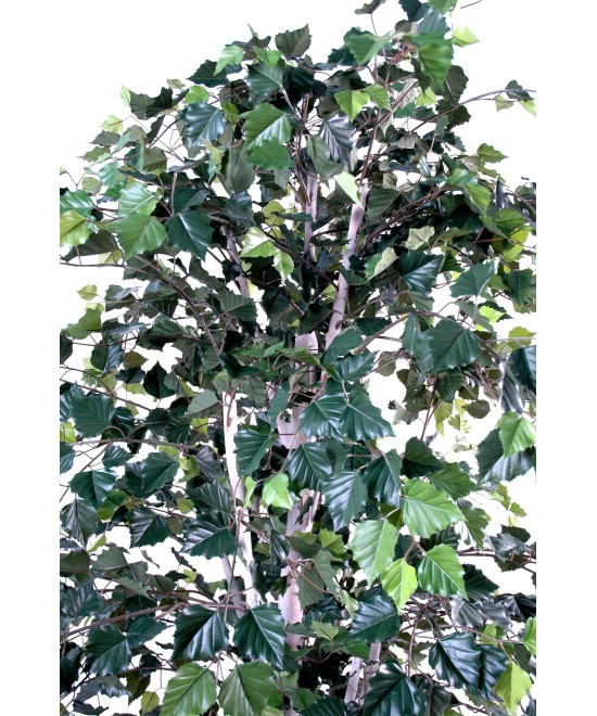 Artificial birch