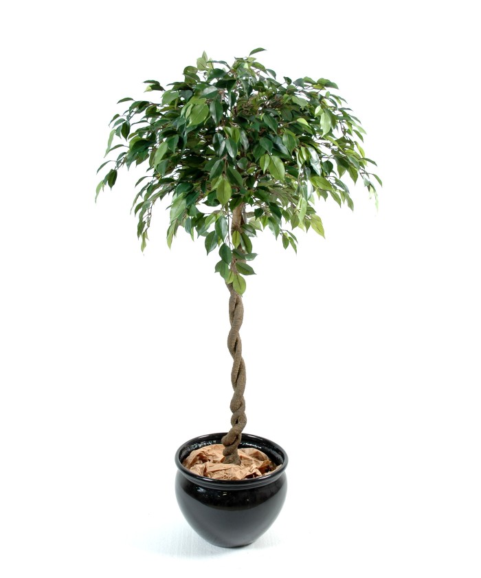 Artificial Ficus NATASJA BALL