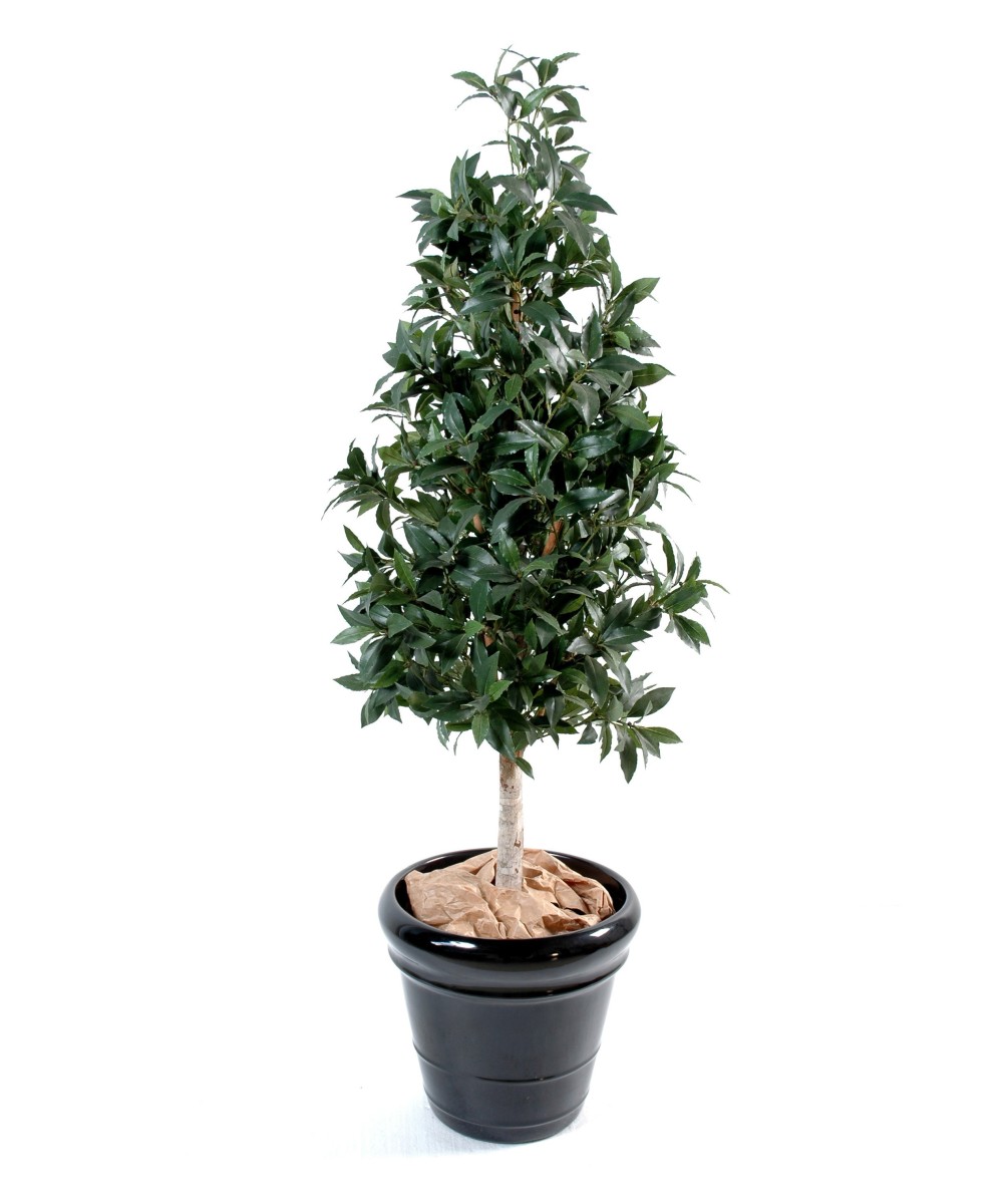 Artificial Laurel PYRAMID