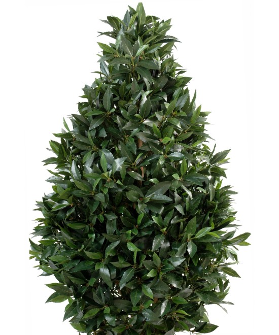 Artificial laurel LARGE TOPIARY
