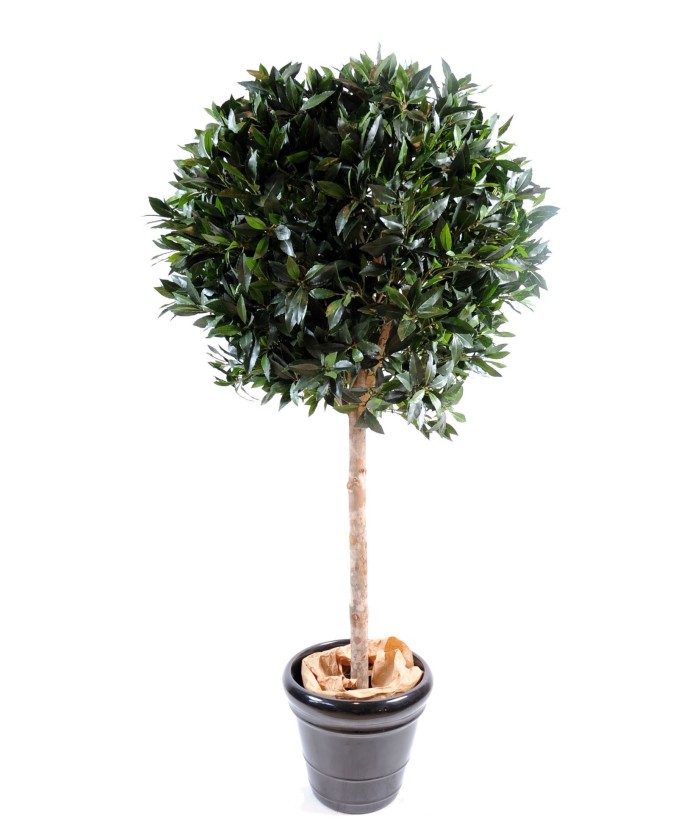 Artificial Laurel BALL LUXURY STEM