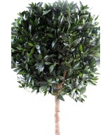 Artificial Laurel BALL LUXURY STEM