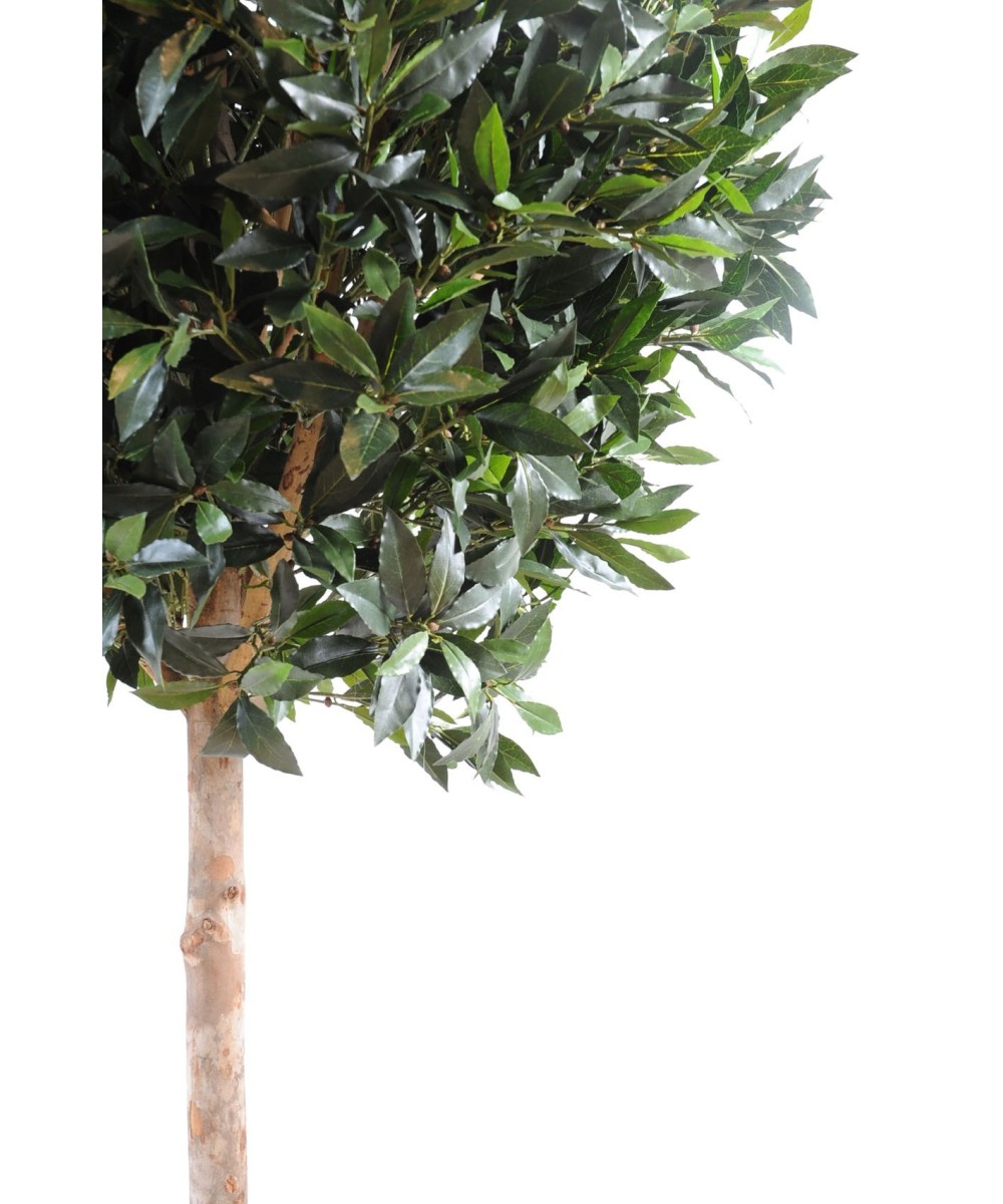 Artificial Laurel BALL LUXURY STEM