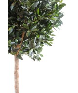 Artificial Laurel BALL LUXURY STEM