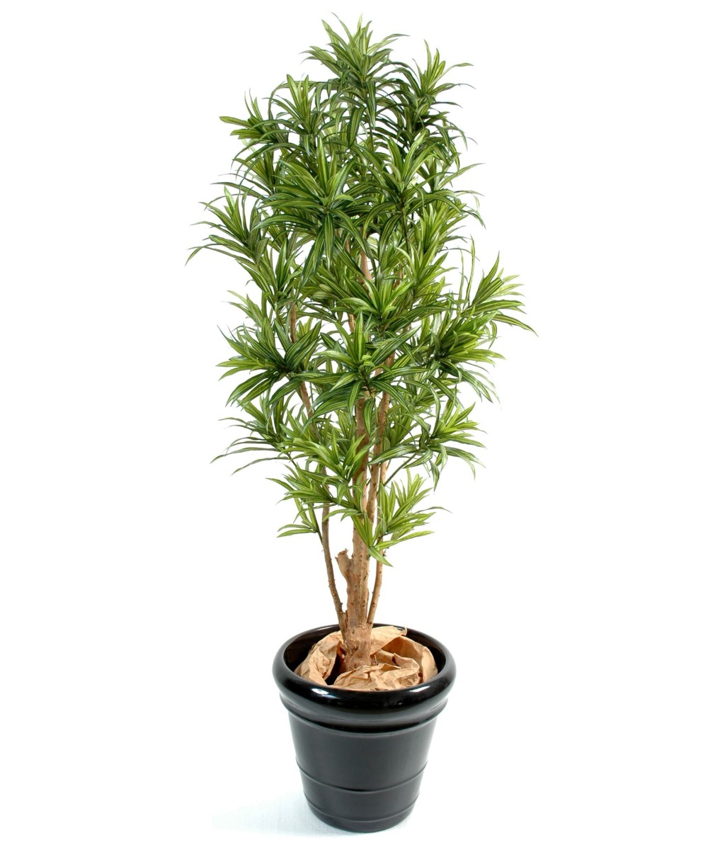 Artificial dracaena REFLEXA