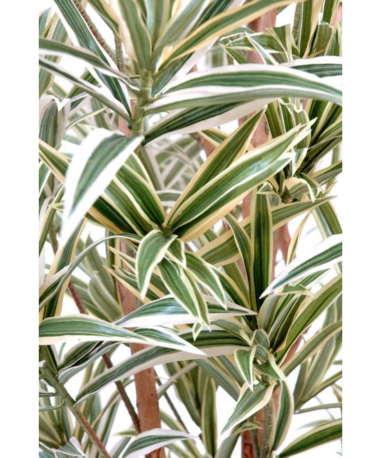 Artificial dracaena REFLEXA