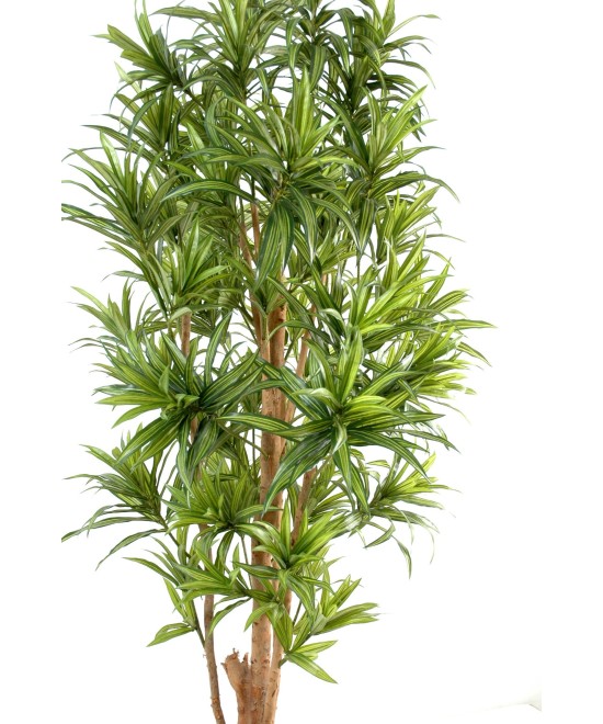 Artificial dracaena REFLEXA