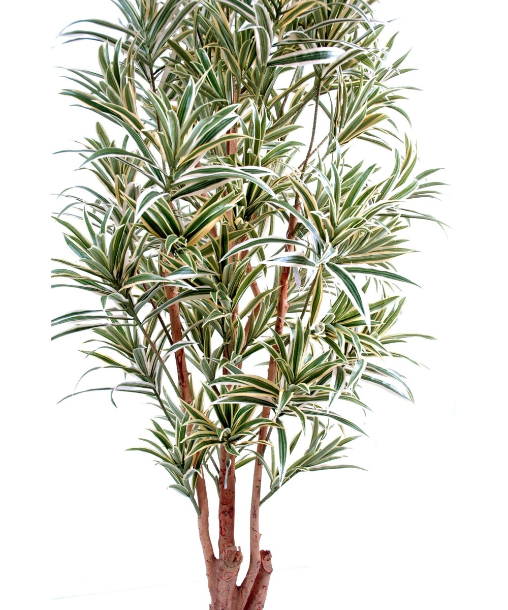 Artificial dracaena REFLEXA