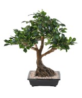 Artificial BONSAI FICUS IN BOWL