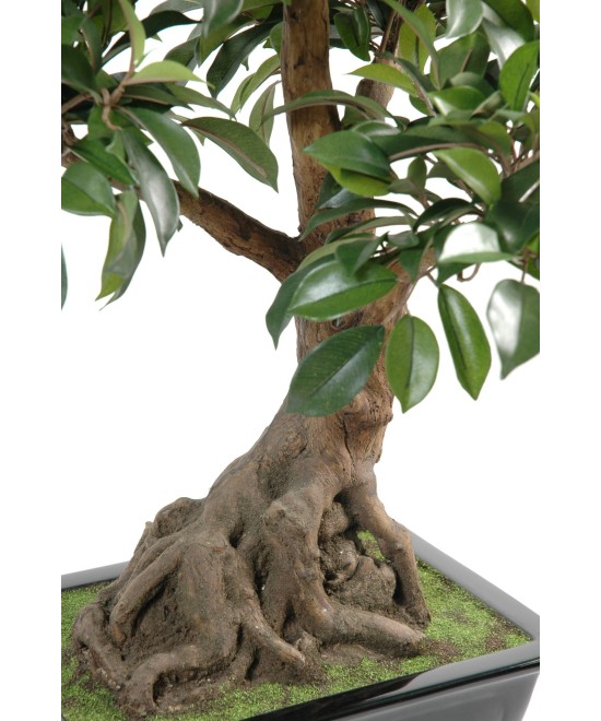 Kunstlik bonsai fikuss kausis