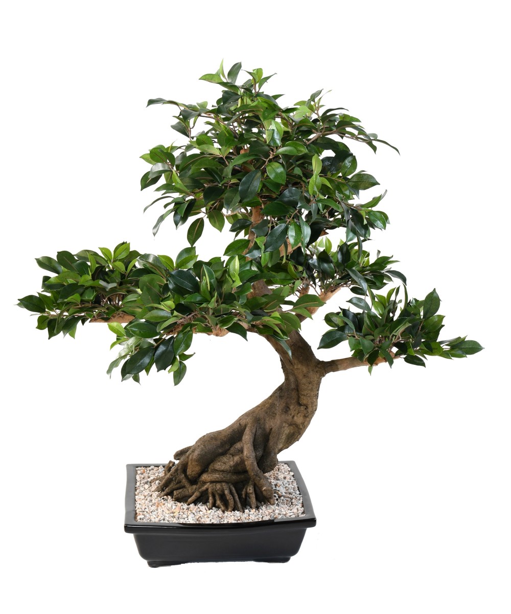 Artificial BONSAI FICUS IN BOWL