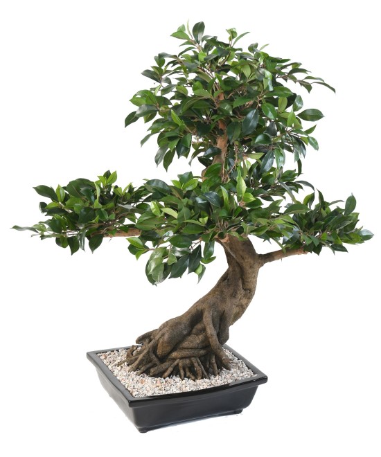 Artificial BONSAI FICUS IN BOWL