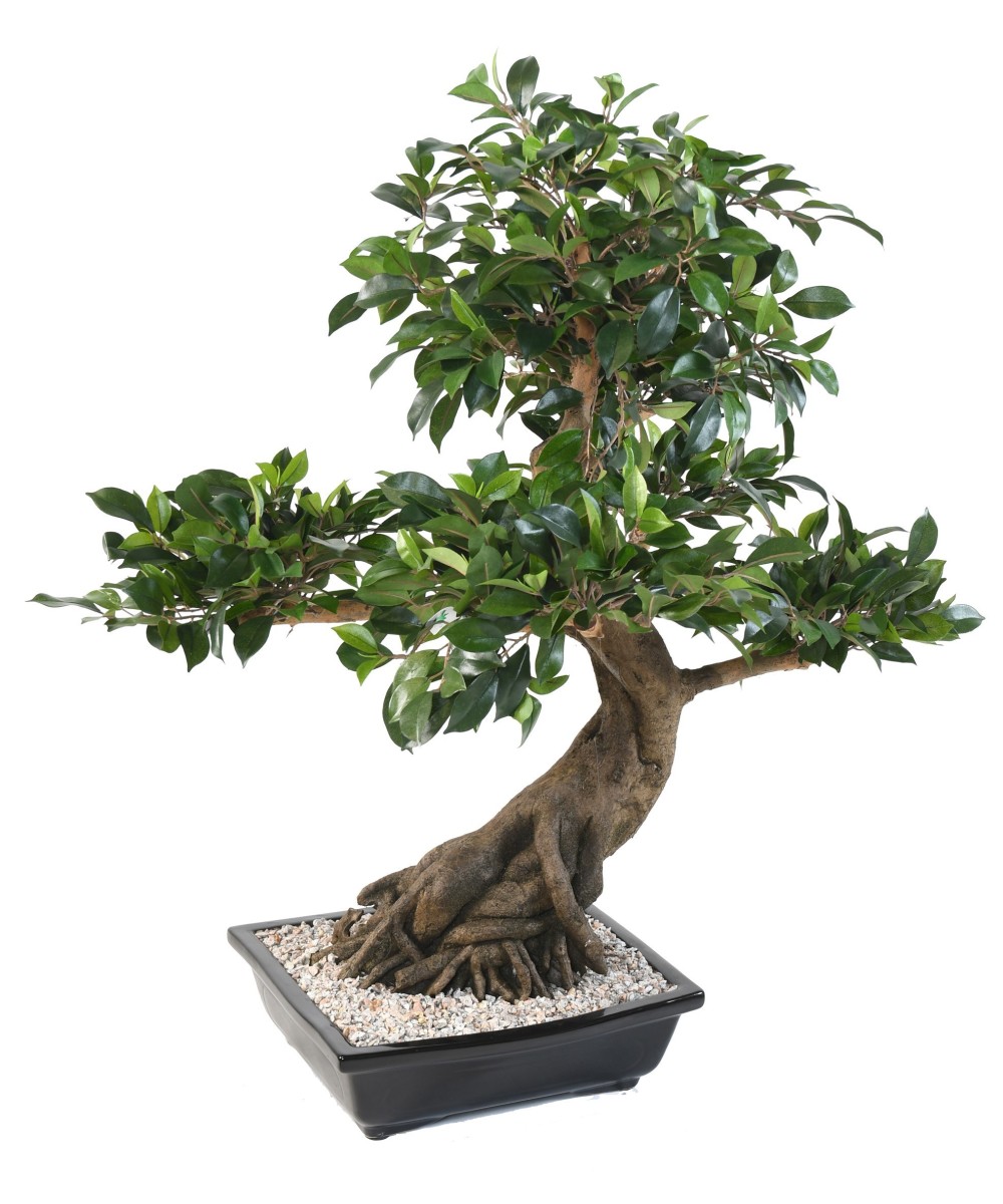 Artificial BONSAI FICUS IN BOWL