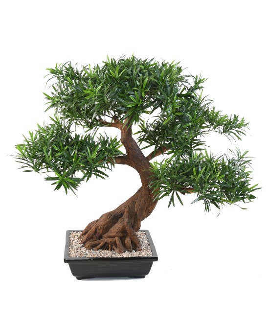 Kunstlik bonsai podokarpus kausis