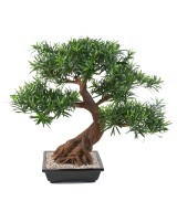 Kunstlik bonsai podokarpus kausis