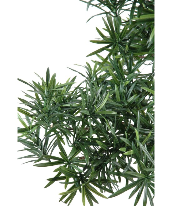 Artificial BONSAI PODOCARPUS IN BOWL