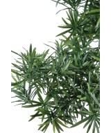Kunstlik bonsai podokarpus kausis