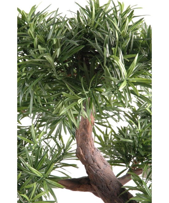 Kunstlik bonsai podokarpus kausis