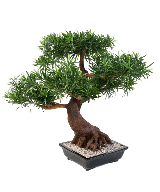 Kunstlik bonsai podokarpus kausis