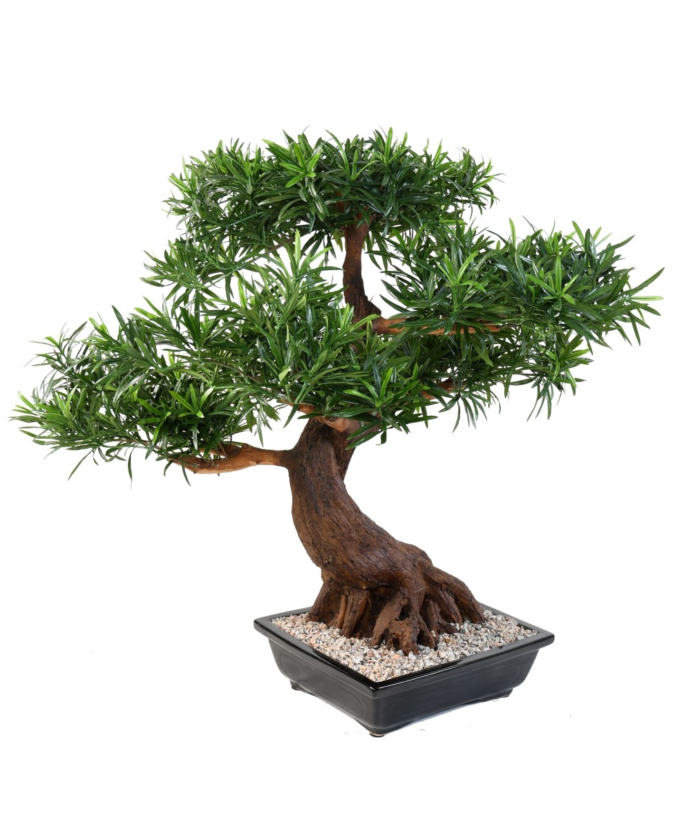Kunstlik bonsai podokarpus kausis