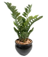 Artificial zamia