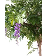 Artificial wisteria ROUND