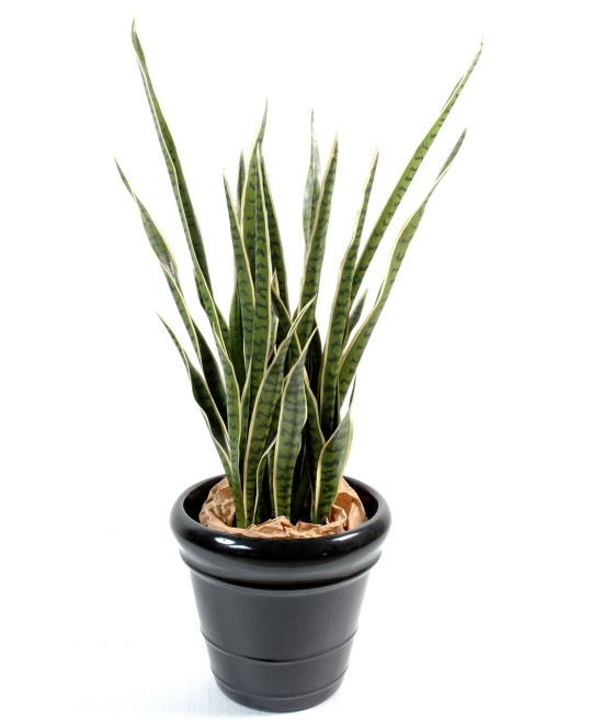 Kunsthavisaba