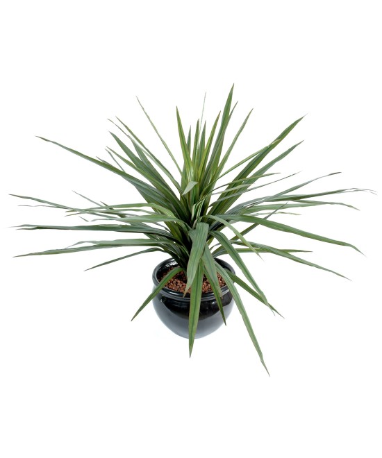 Artificial Dracaena MARGINATA 58L