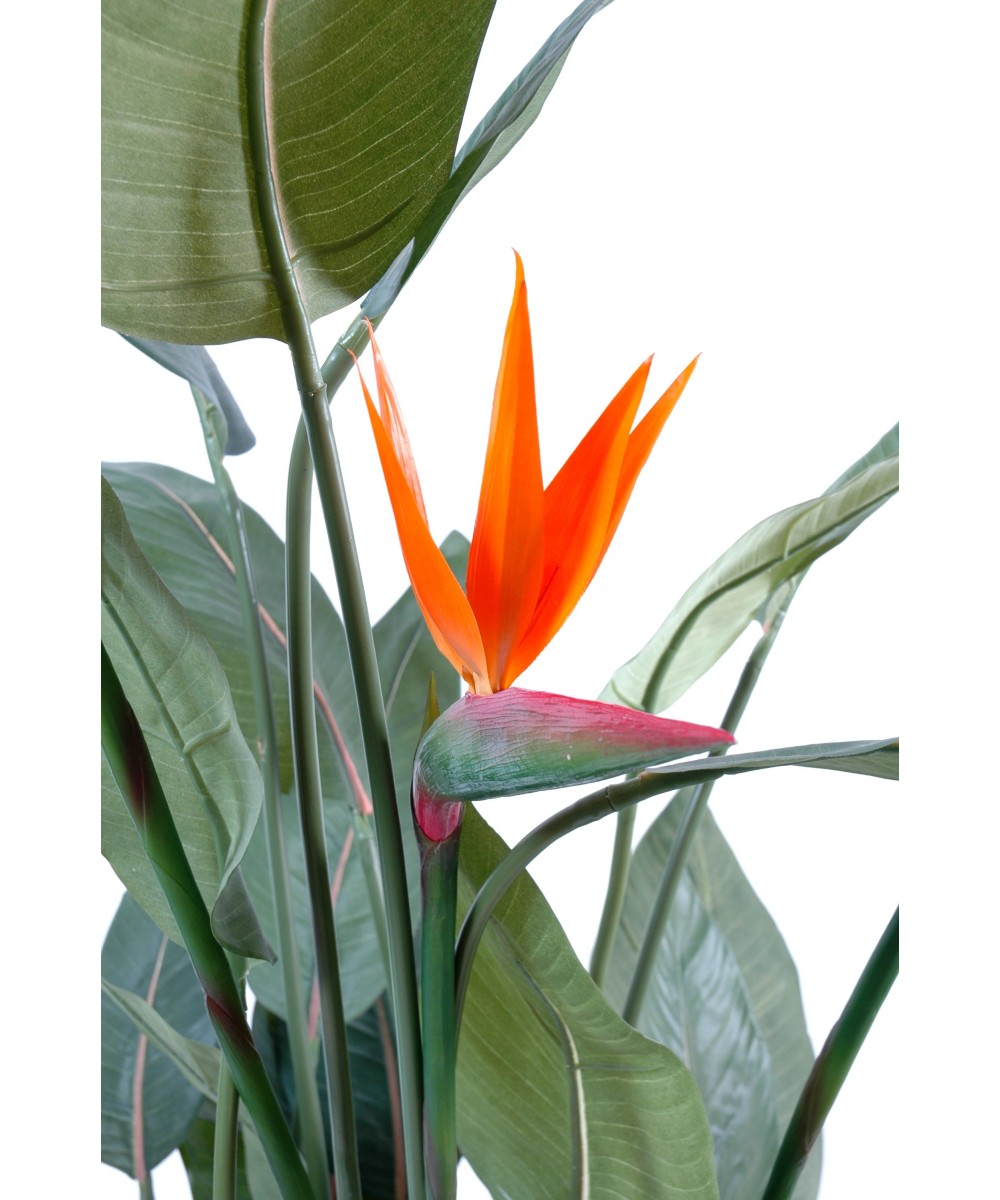 Artificial Strelitzia (Bird of paradise) 3FL
