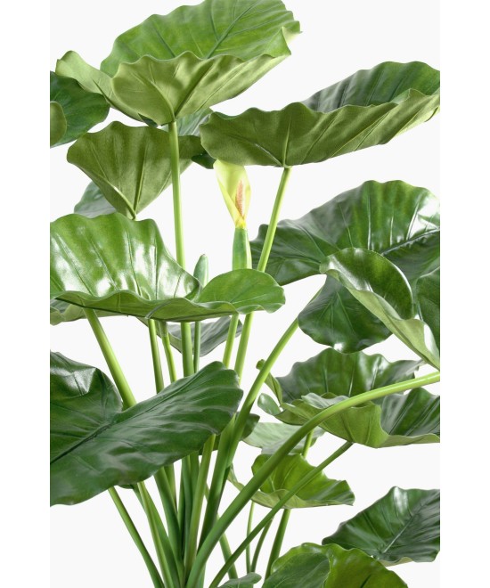 Artificial Alocasia calidora 3 trunks