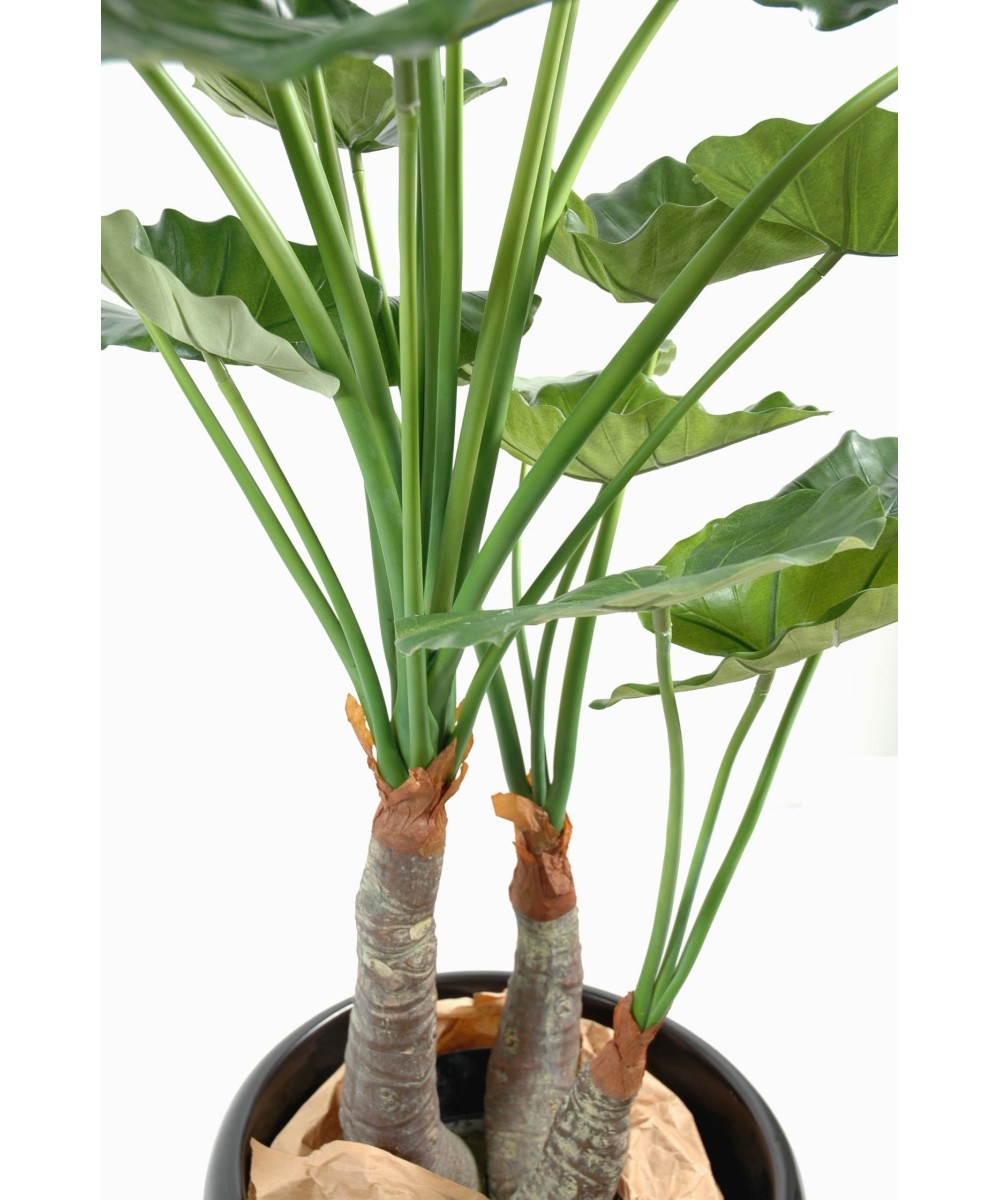 Artificial Alocasia calidora 3 trunks