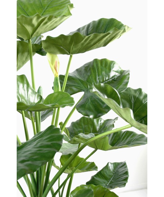 Artificial Alocasia calidora 3 trunks