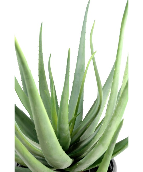 Kunstlik aaloe