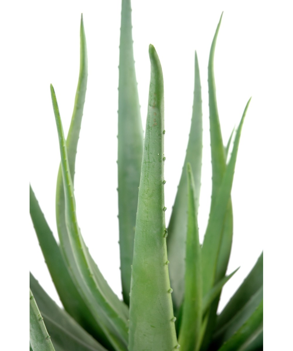 Kunstlik aaloe