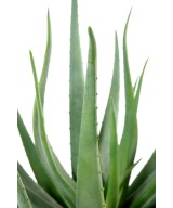 Kunstlik aaloe