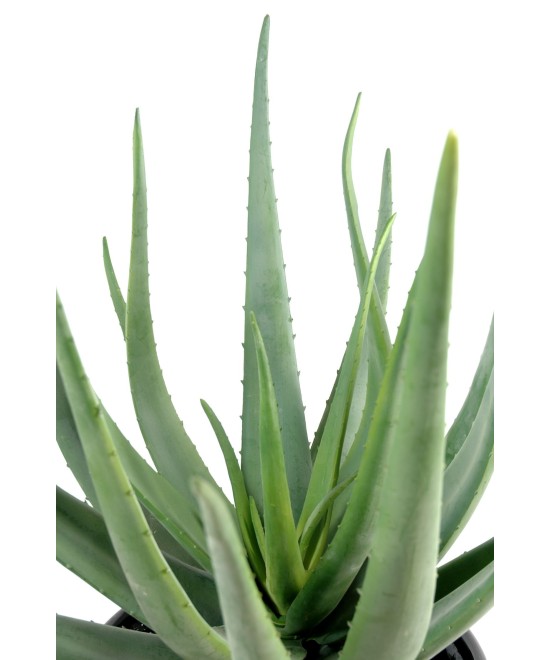 Kunstlik aaloe