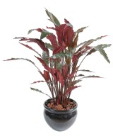 Artificial Calathea IN POT